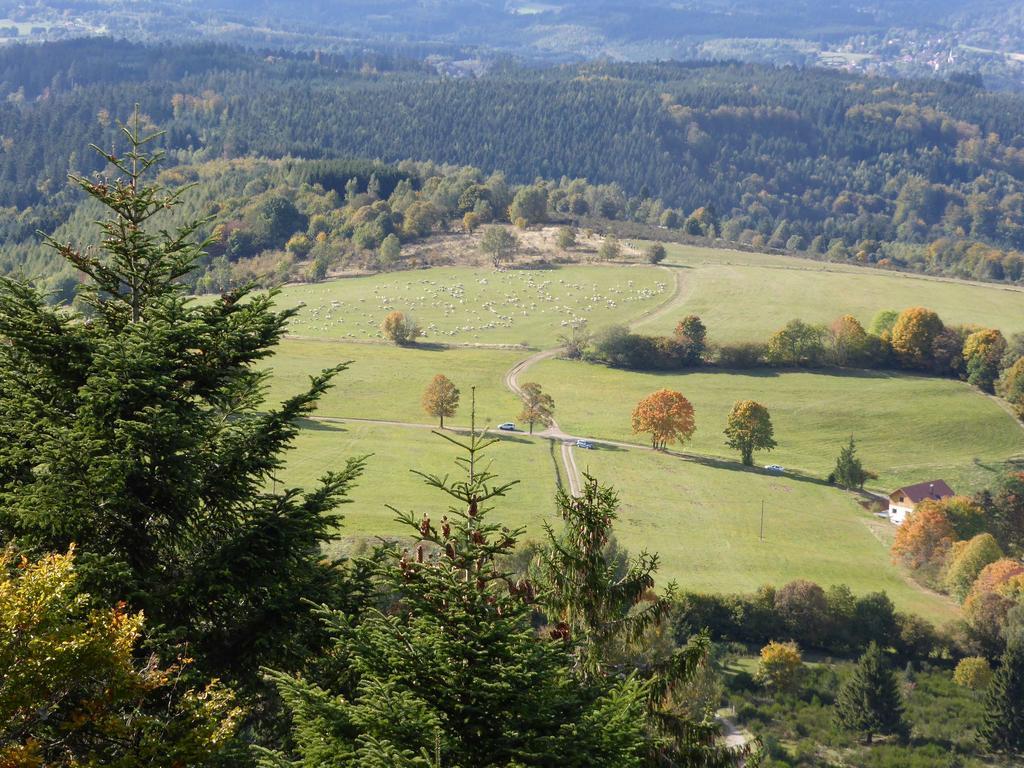 Gîte de montagne -Bellefosse Alsace Exterior foto