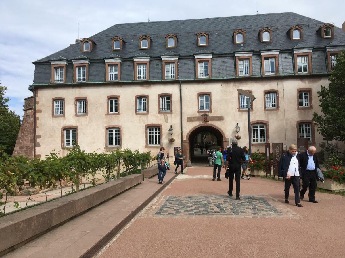 Gîte de montagne -Bellefosse Alsace Exterior foto